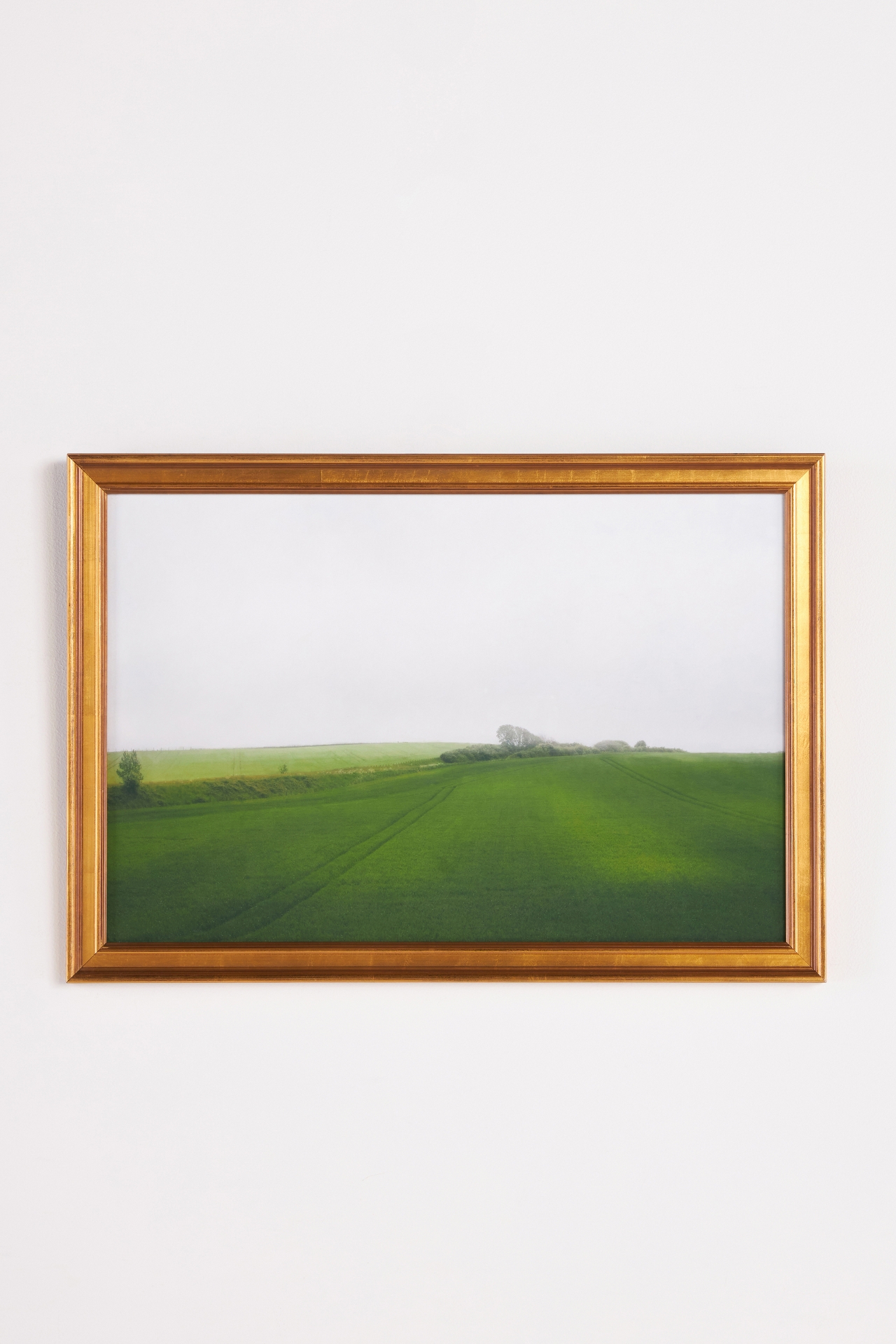 Green Fields Wall Art