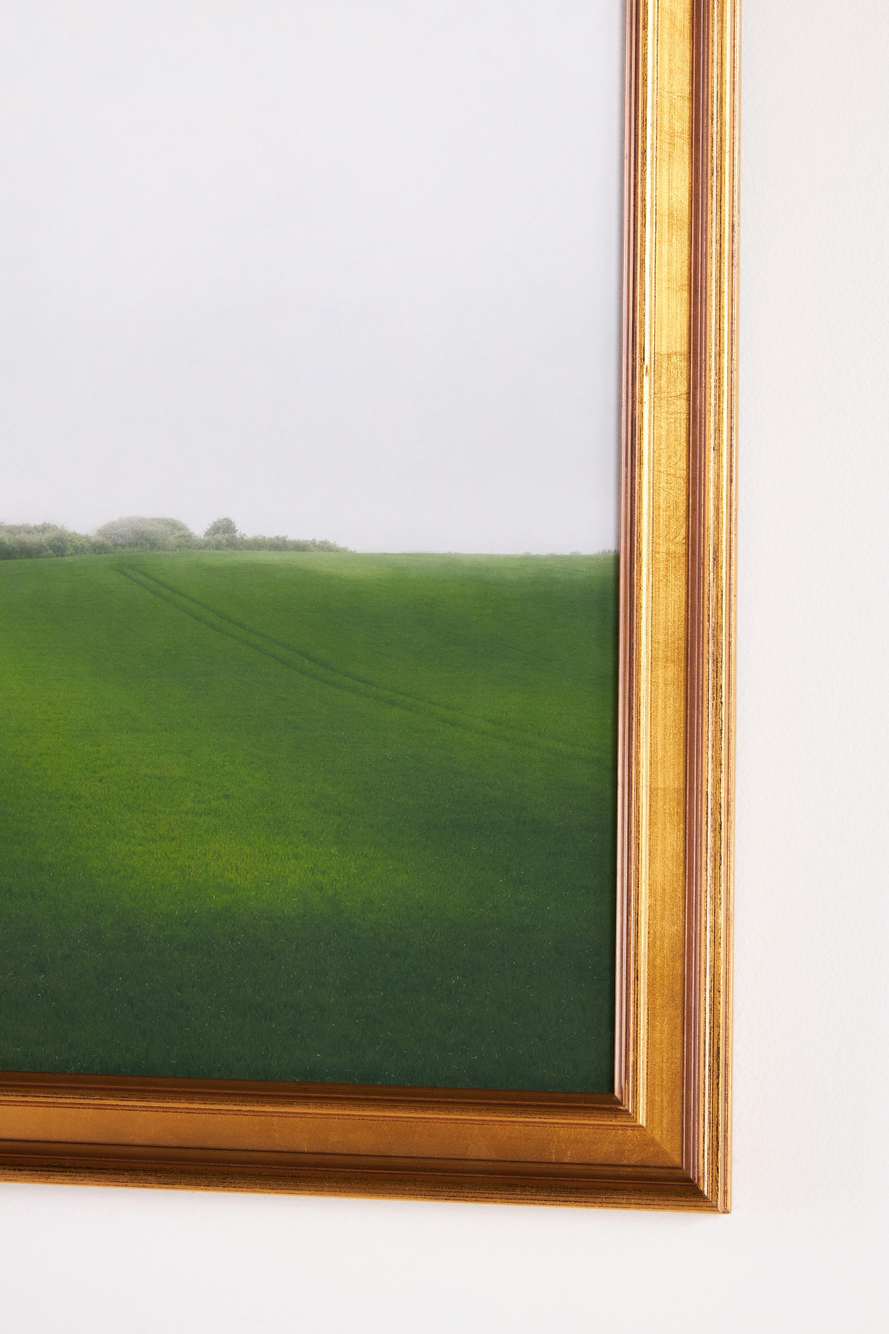 Green Fields Wall Art