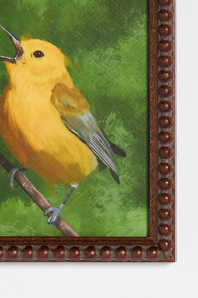 Prothonotary Warbler Wall Art #1