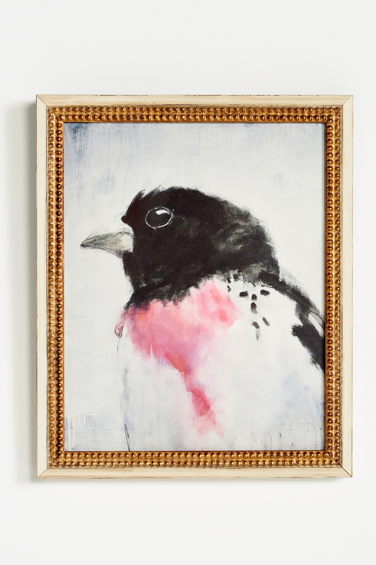 Rosebreasted Grosbeak Wall Art