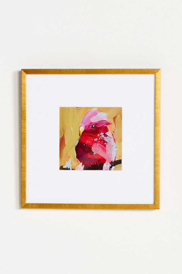 Galah Wall Art #1