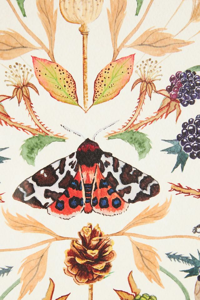 Autumn Moth and Sunshine Strawberry Wall Art Set #1