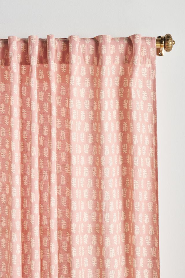 Bellis Curtain #1