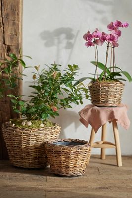 Woven Abaca Tapered Basket Planter