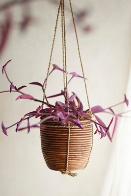 Hanging Rattan Stripe Basket Planter