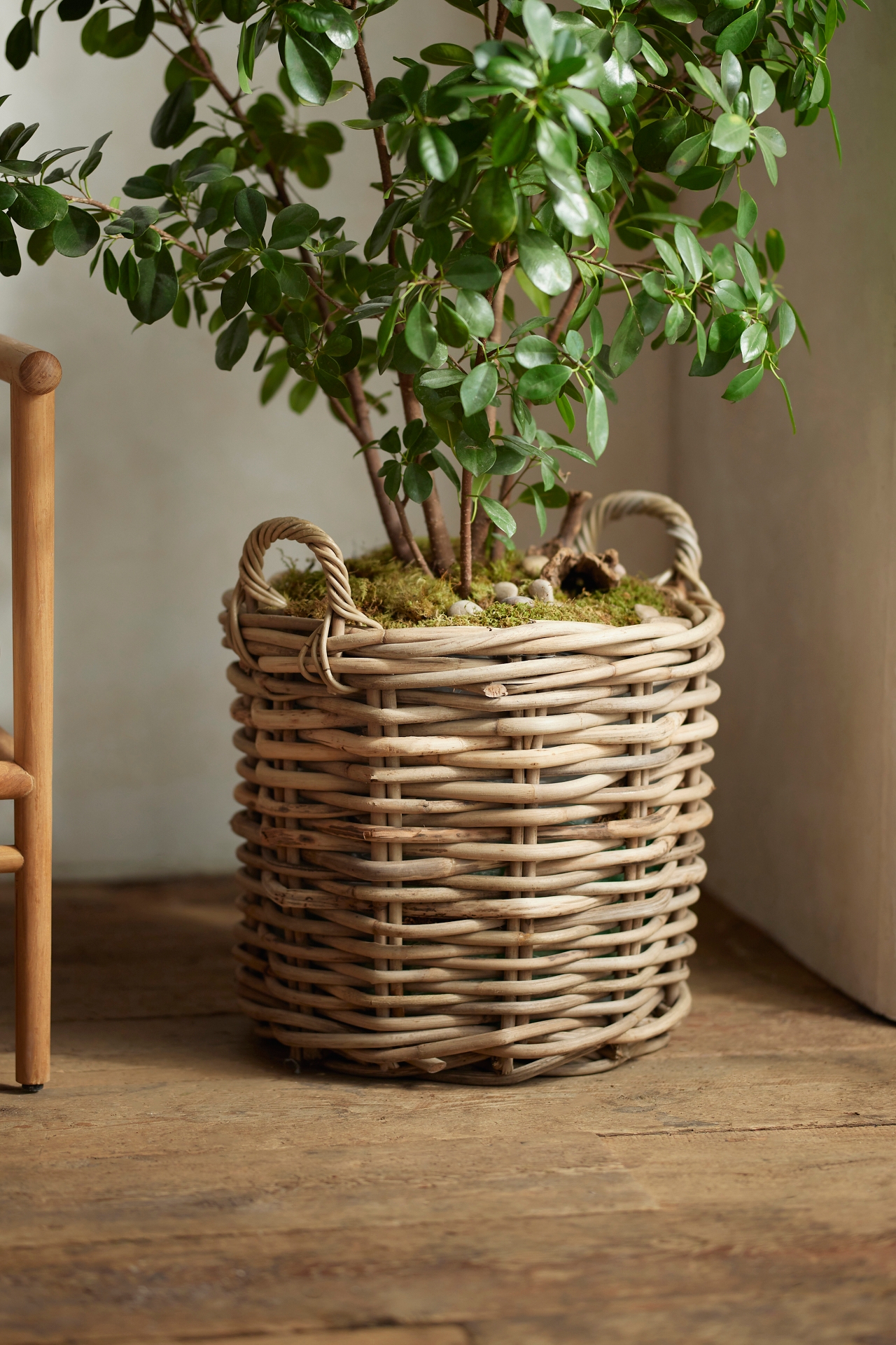 Rattan Cylinder Basket Planter