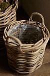 Rattan Cylinder Basket Planter #5