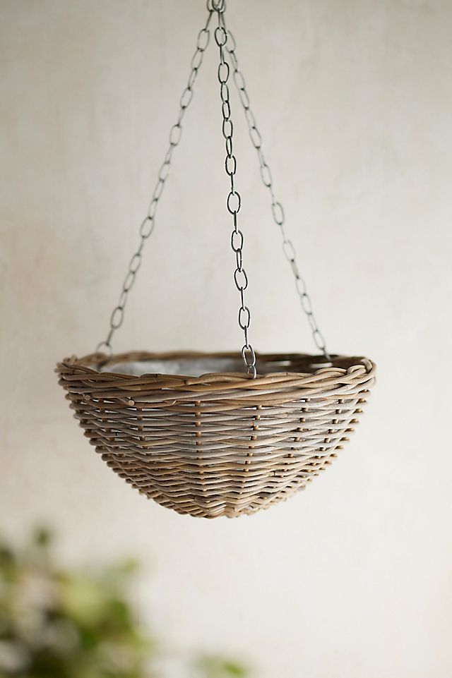 birdsnest snake plant vase life Snake Plant, Bird's Nest main image 1