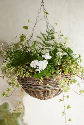 vertical planter indoor 5 Tier GreenStalk Original Vertical Planter | Tomato (Basic Texture) main image 1