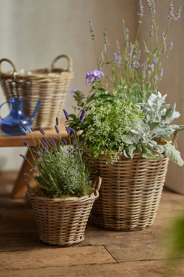 Rattan Tapered Basket Planter | Terrain