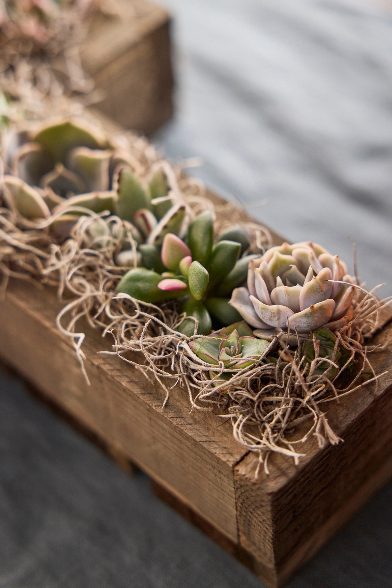 Succulent Letter Planter