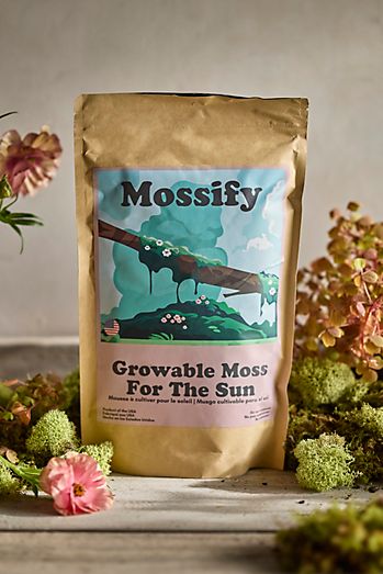 Growable Moss, Sun
