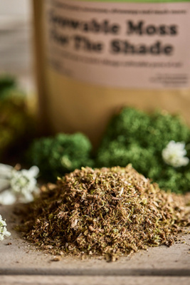 Growable Moss, Shade - Thumbnail 2