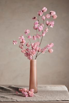 Preserved Bougainvillea Bunch, Pink