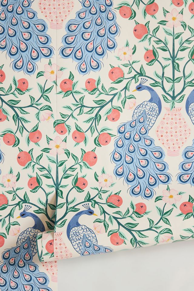 Peacock Wallpaper #1