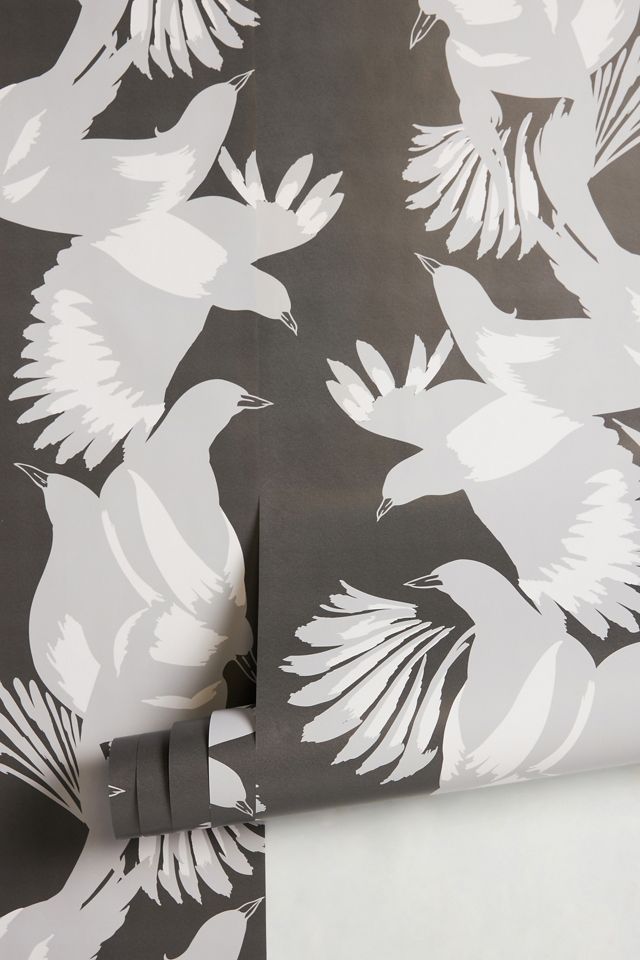 Magpie Wallpaper #1