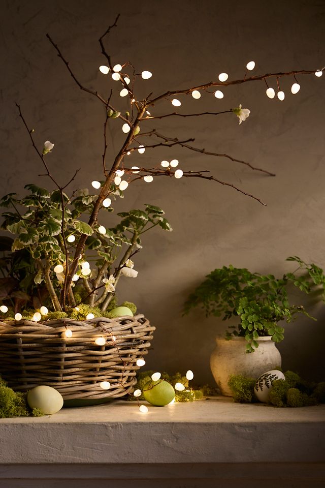 LED Teardrop Lights #1