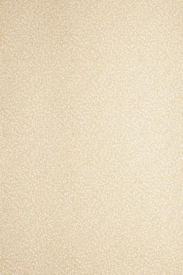 Tansy Small Print Wallpaper - Thumbnail 2