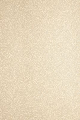 Tansy Small Print Wallpaper