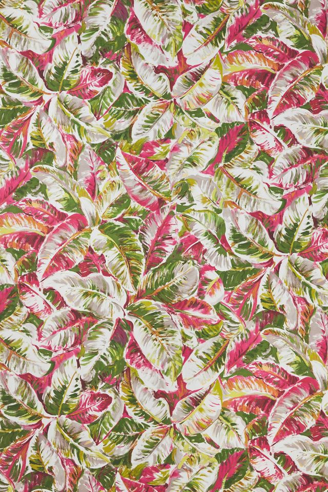 Diani Tropical Spring Wallpaper #1