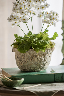 Terrain Maritime Bowl Planter