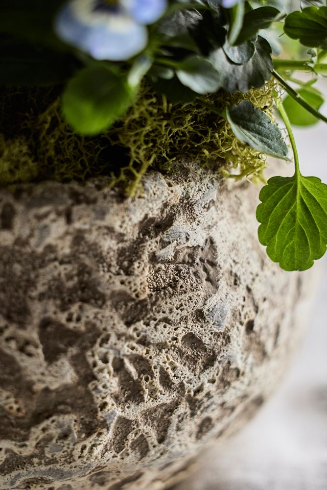 Maritime Round Shoulder Planter #1