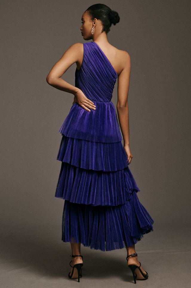 Hutch Xala One-Shoulder Tiered Pleated Tulle Maxi Dress #2