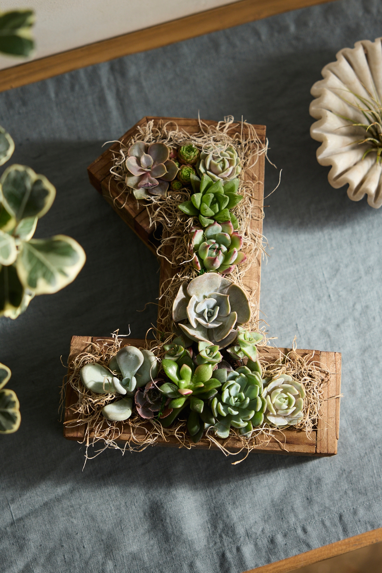 Succulent Number Planter