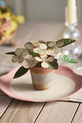 Terrain Iron Hellebore Pot