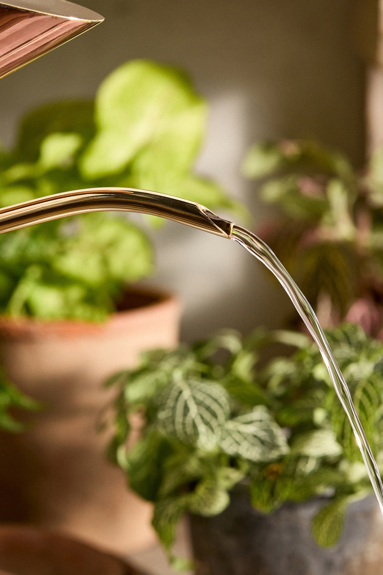 Tall Copper + Brass Watering Can