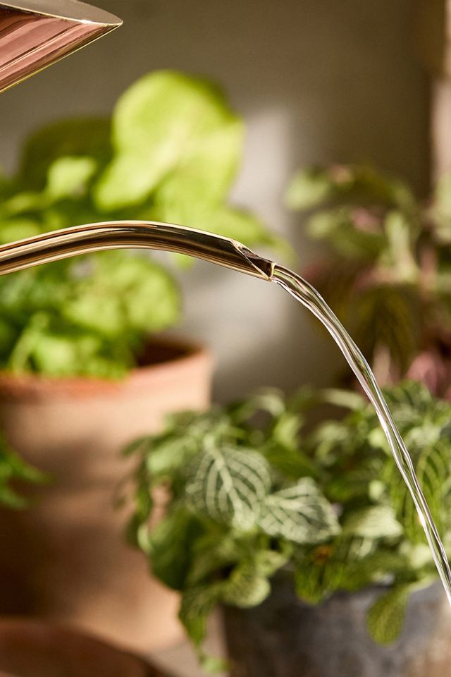 Tall Copper + Brass Watering Can #2