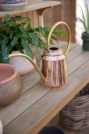 Low Copper + Brass Watering Can