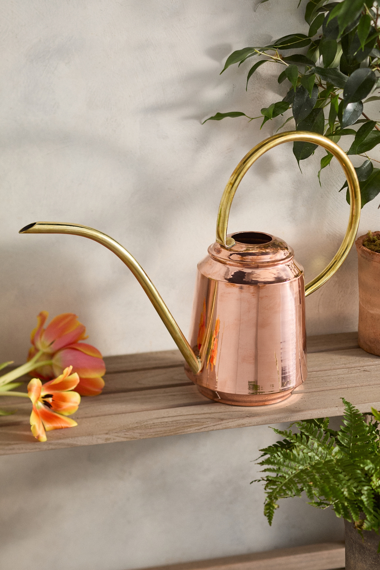 Low Copper + Brass Watering Can