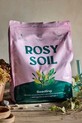 Terrain Rosy Soil Seedling Mix In Purple