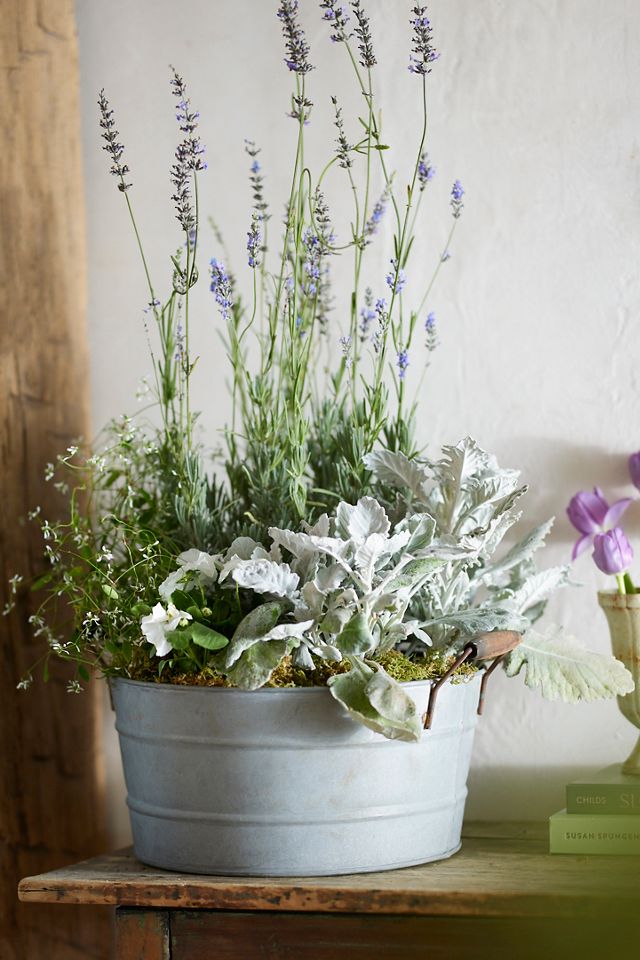 Wood Handle Iron Bucket Pot