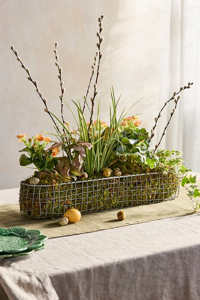 Galvanized Wire Trough #2