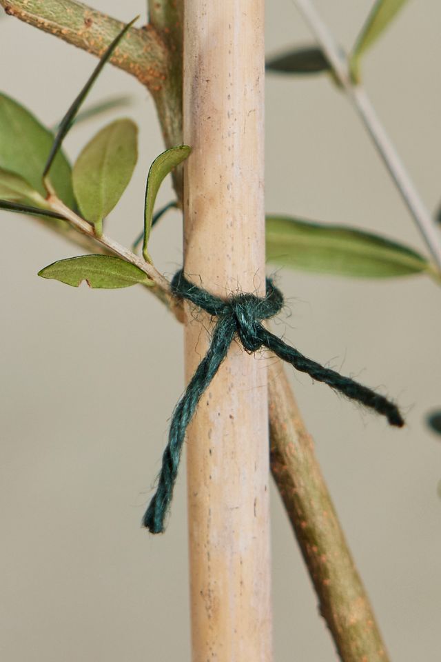 Nutscene Tin o’ Twine #3