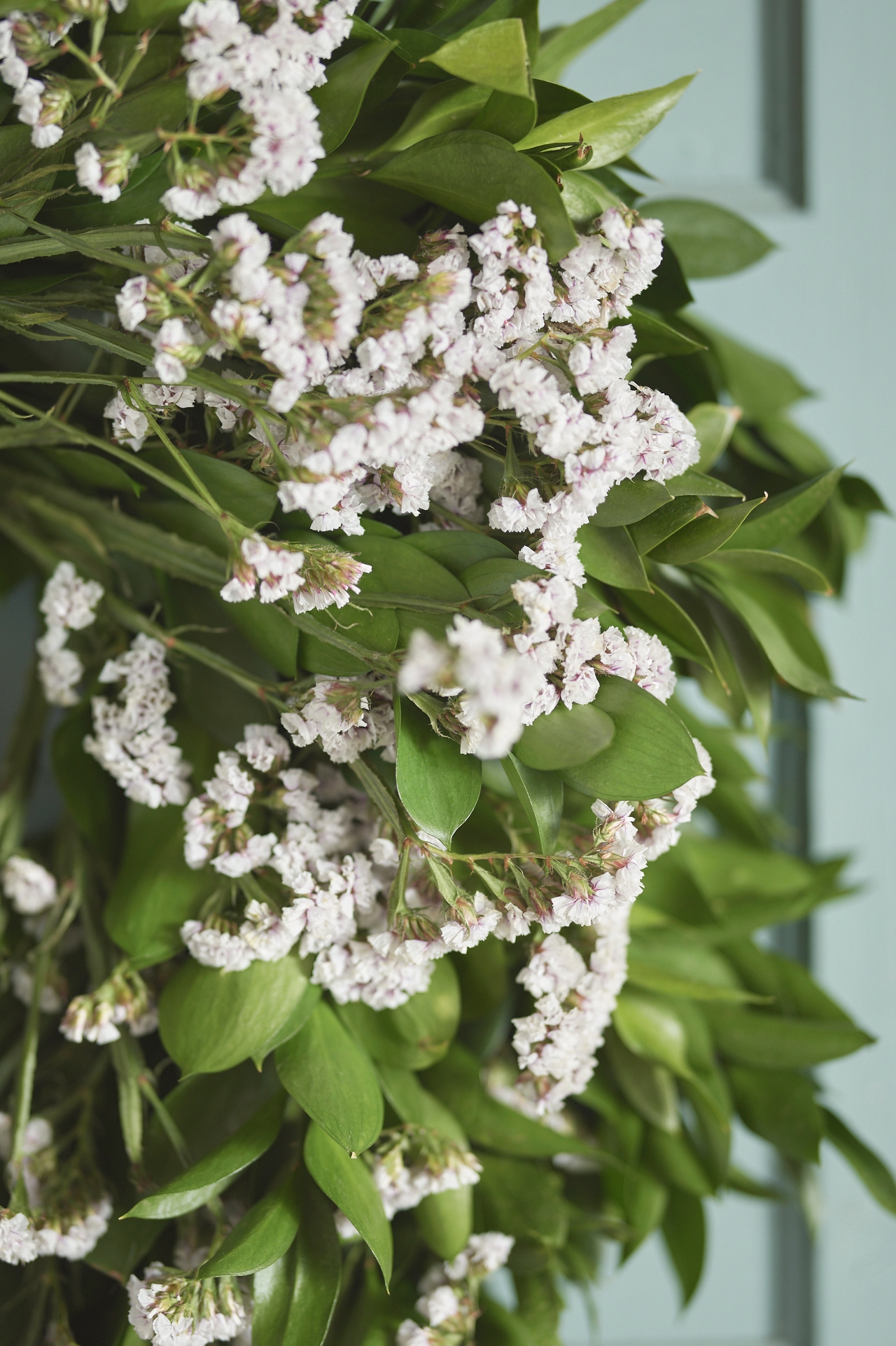 Fresh Ruscus + Statice Wreath