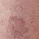 Pink Windsor Brocade