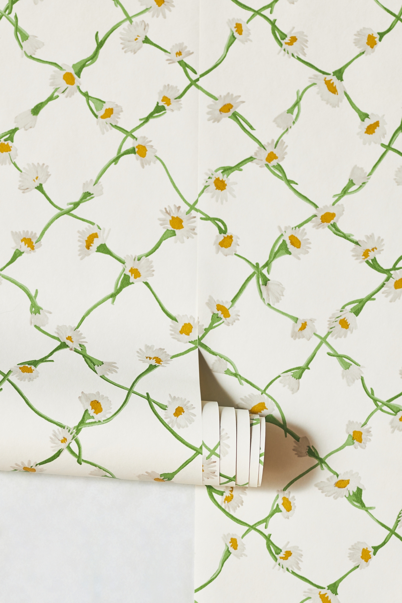 Daisy Trellis Wallpaper