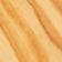 Cedar