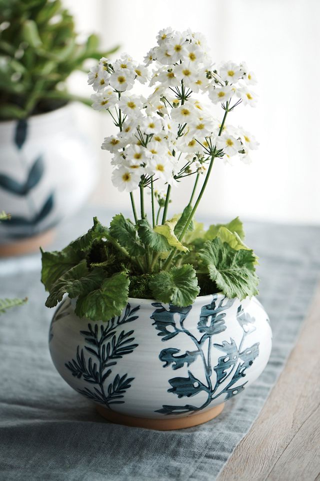 Indigo Floral Low Jar Planter #5
