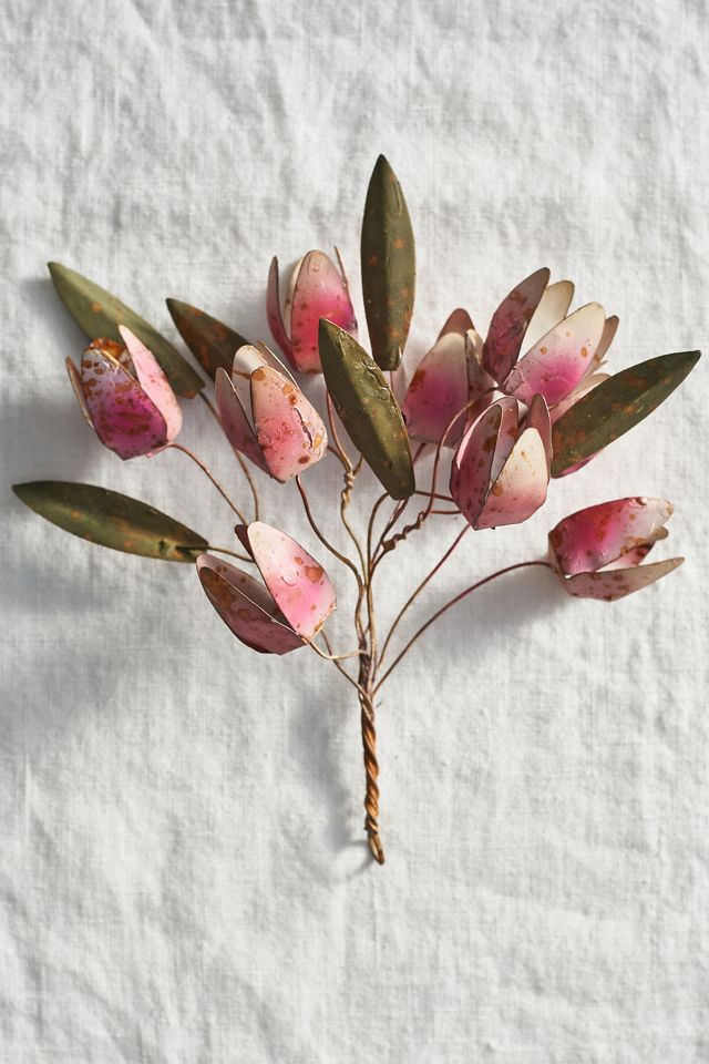Tulip Iron Bunch #1