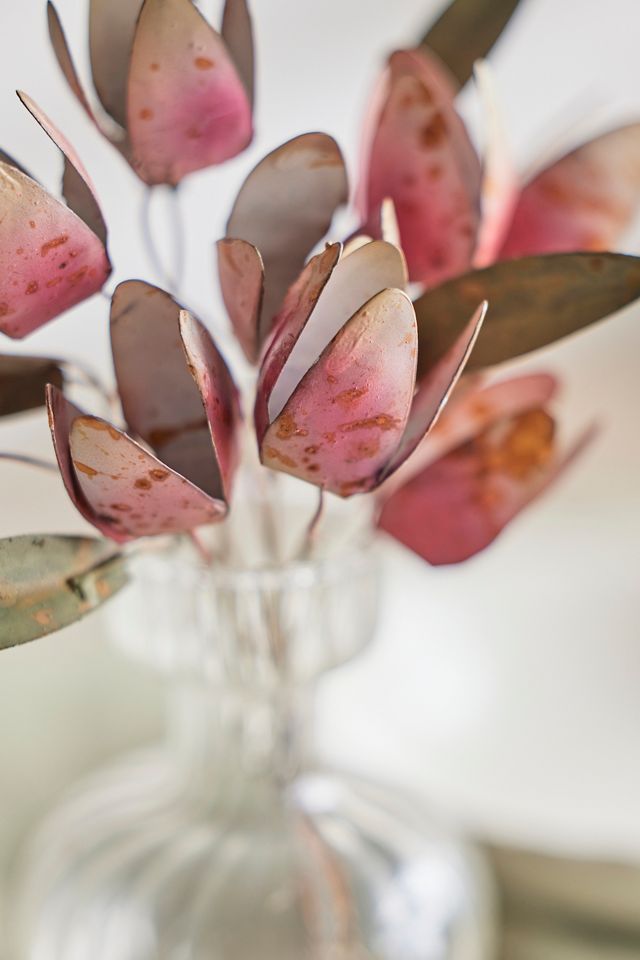 Tulip Iron Bunch #2