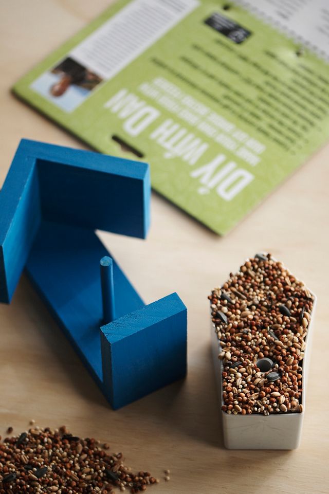 DIY Kid’s Bird Feeder Kit #1