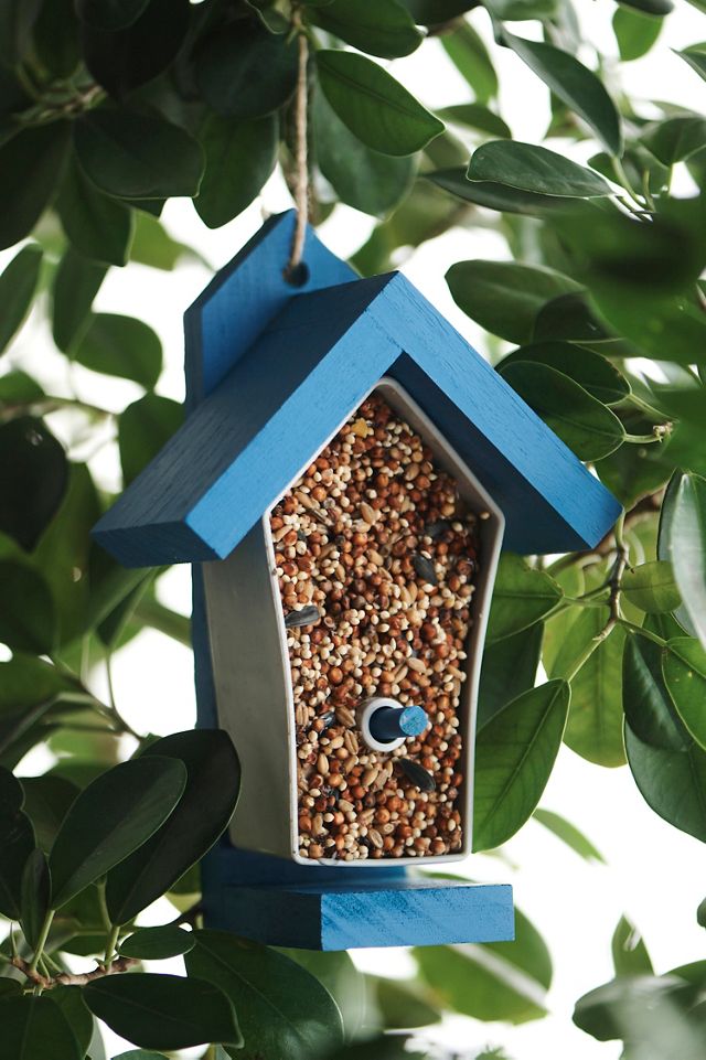 Build-A-Bird Feeder Kit For Kids, Bird Feeder Kits For Ages 5 and Up, Bird  Feeder Kits For Children at Songbird Garden