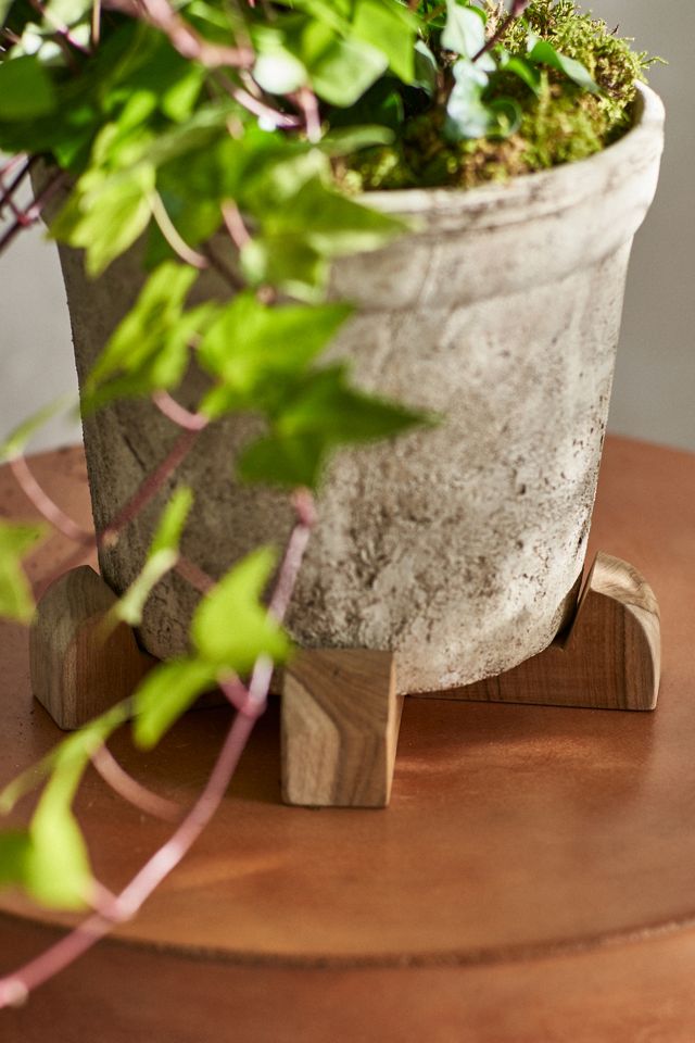 Round Teak Pot Feet, Set of 4 #5