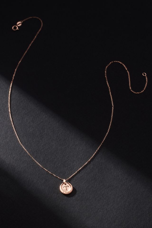 Sirciam Jewelry Horoscope Necklace #1