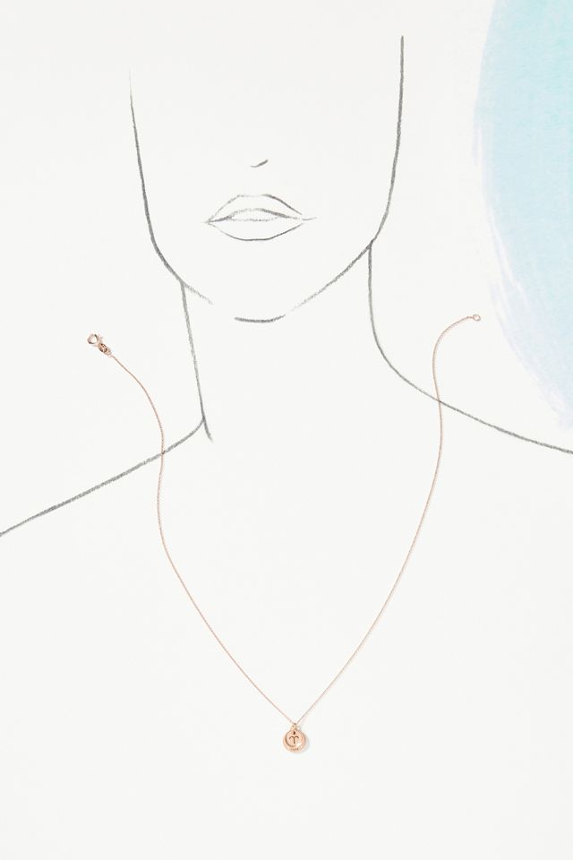 Sirciam Jewelry Horoscope Necklace #2