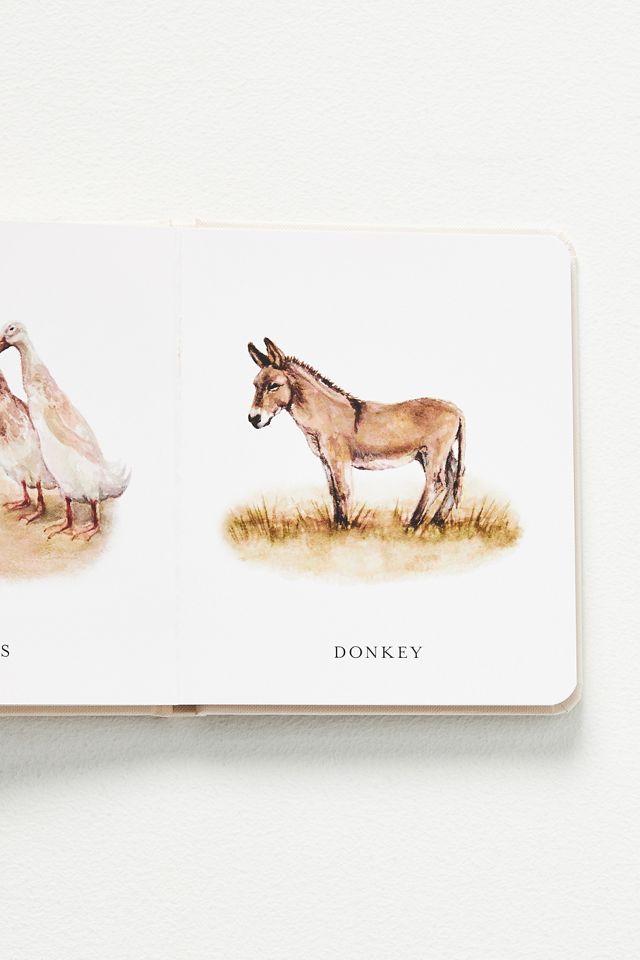 Our Little Library Board Book Set #3